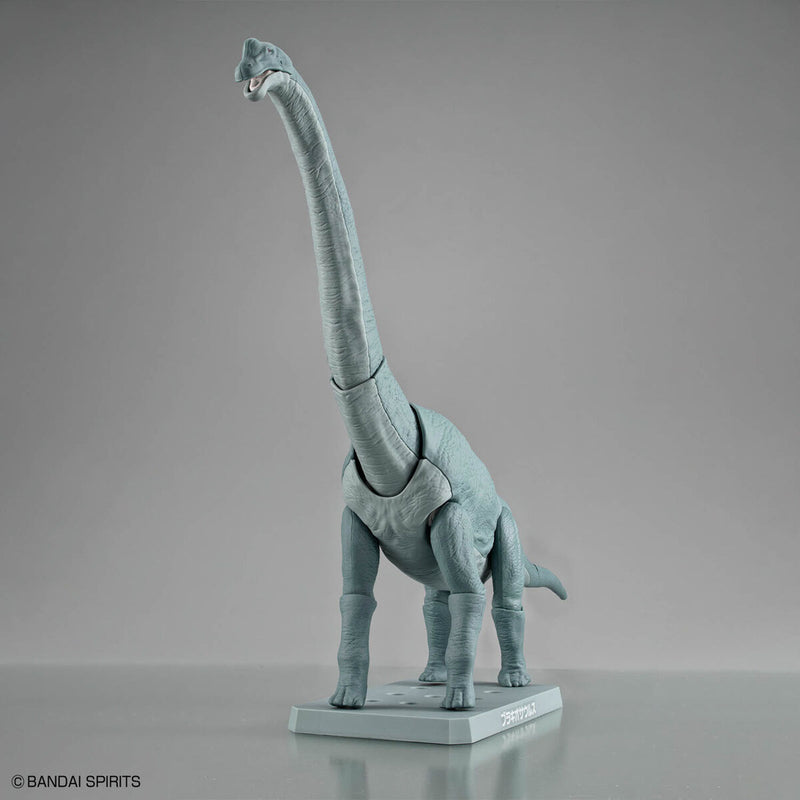 Planosaurus - Brachiosaurus