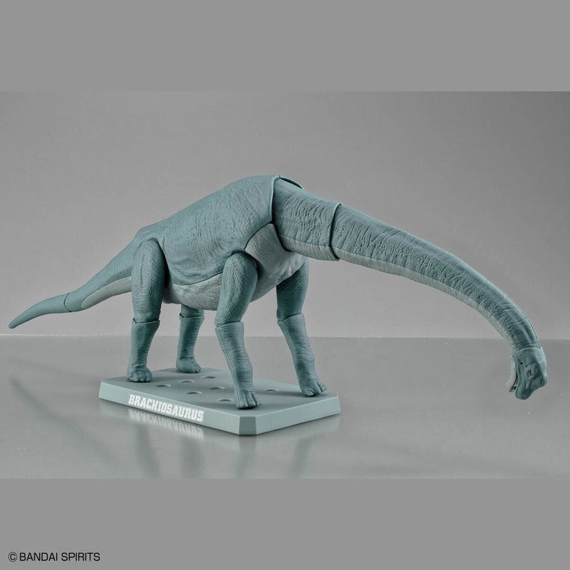 Planosaurus - Brachiosaurus