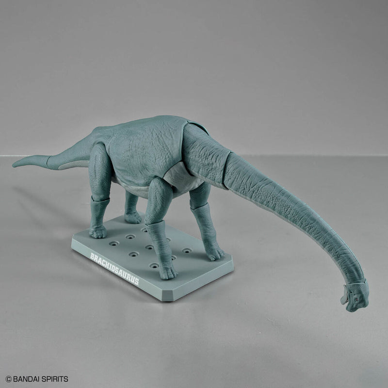 Planosaurus - Brachiosaurus