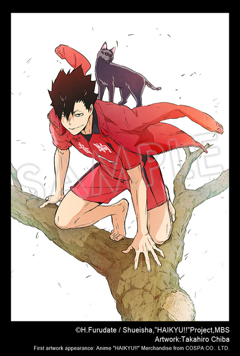 はやお ARRIVED][JAN 2025] Artfx J - Tetsuro Kuroo - Haikyu!! 1/8 — Panda