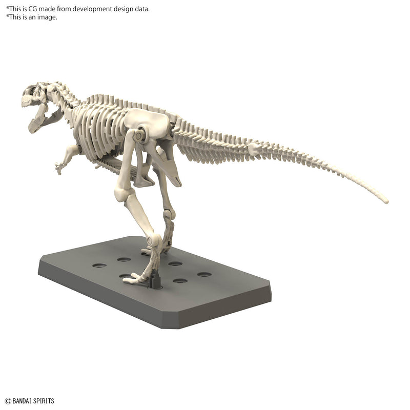 [ARRIVED][MAY 2024] Plannosaurus Giganotosaurus