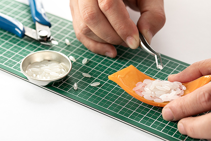 Sushi Plastic Model - 02 Ver. Salmon 1/1