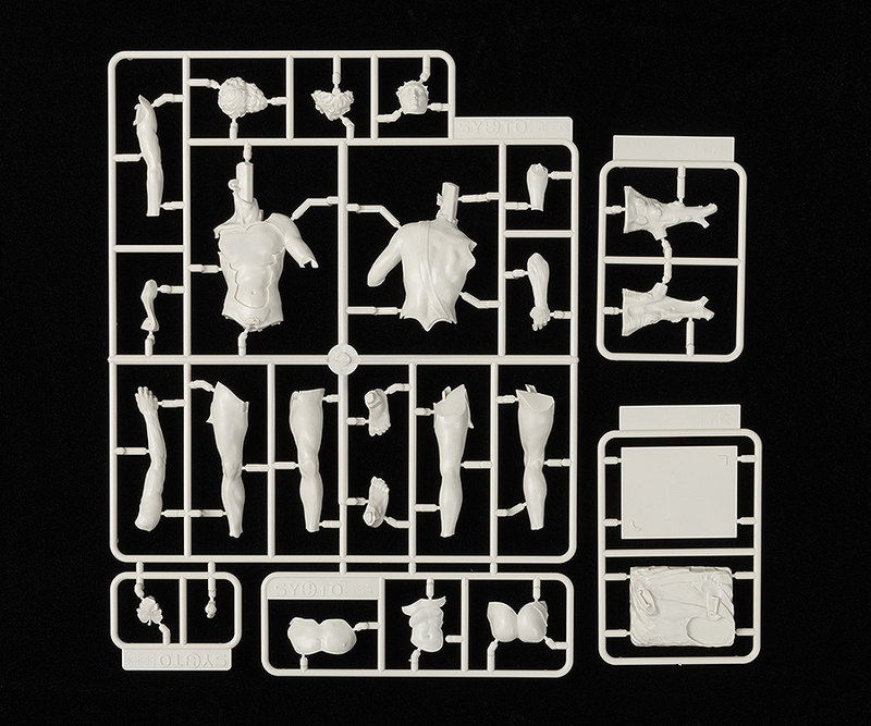 01 David Plastic Model Kit - Studio Syuto 1/35 (Copy)
