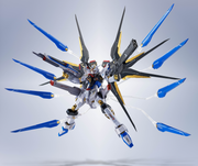 Metal Robot Spirits - [Side MS] Strike Freedom Gundam Type II