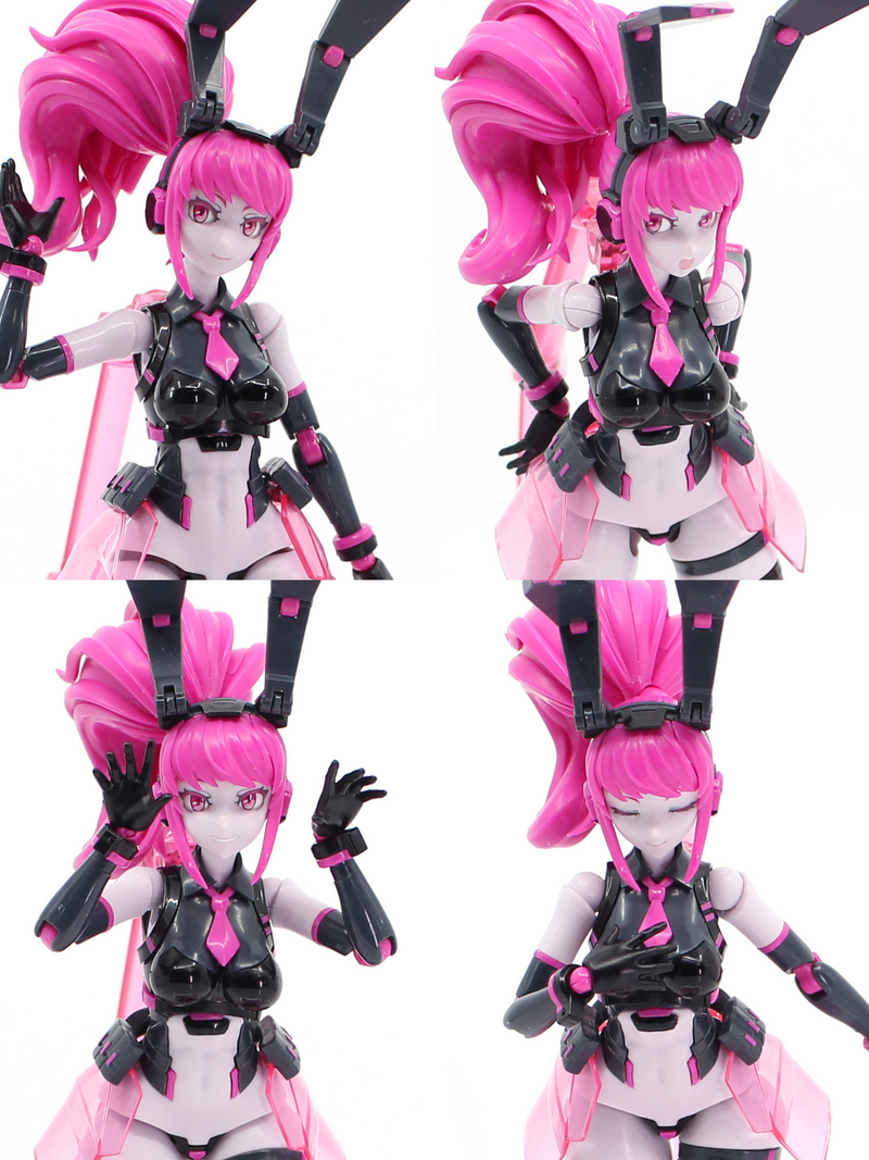 ROCA Plastic Model - Vio The Rabbit SP - Anima Circuit 1/12