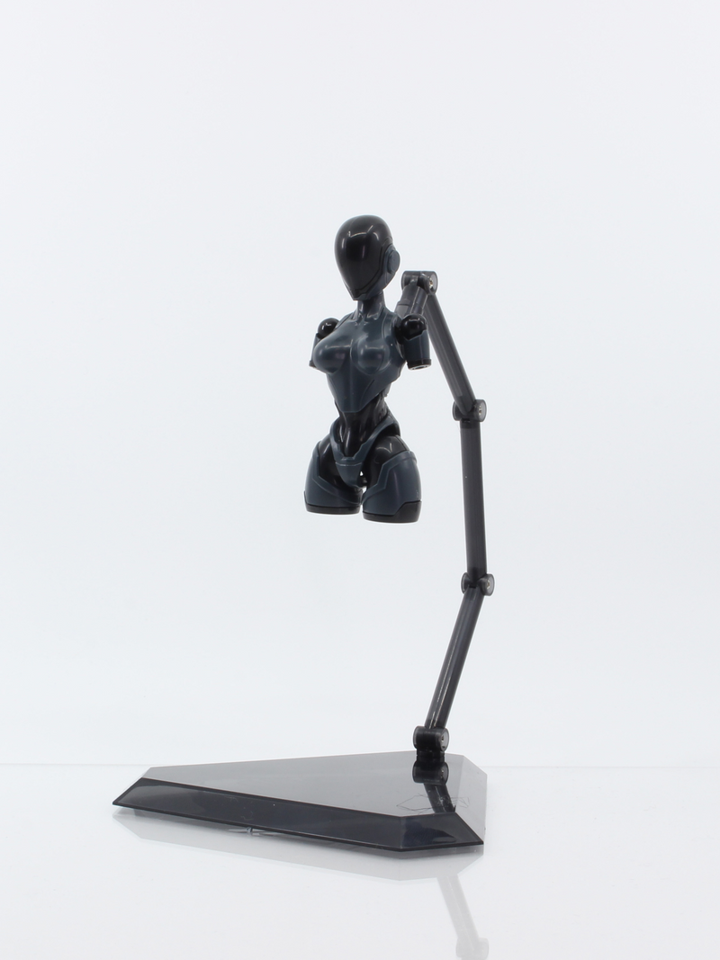 ROCA Plastic Model - Vio The Rabbit SP - Anima Circuit 1/12