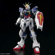 RG #39 Force Impulse Gundam Spec II 1/144