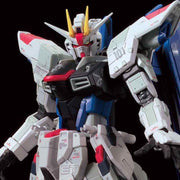 RG The Gundam Base Limited Freedom Gundam Ver. GCP 1/144