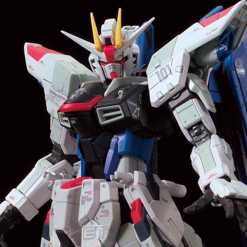 RG The Gundam Base Limited Freedom Gundam Ver. GCP 1/144