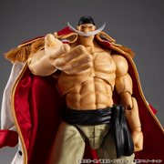 [Preorder][ETA Q3 2027] Variable Action Heroes ONE PIECE 〝White Beard〟Edward Newgate Ver.1.5