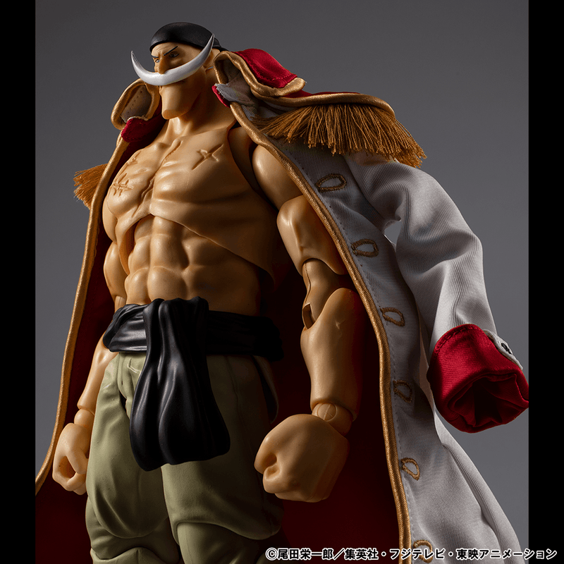 [Preorder][ETA Q3 2027] Variable Action Heroes ONE PIECE 〝White Beard〟Edward Newgate Ver.1.5