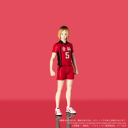 Collekazaro - CK-H05 Kenma Kozume - Haikyu!!