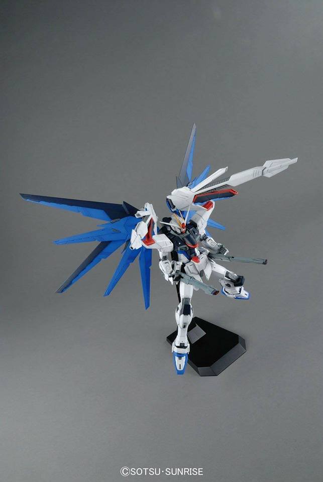 MG Freedom Gundam Ver. 2.0 1/100 — Panda Hobby