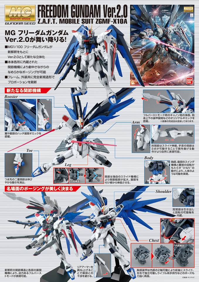 MG Freedom Gundam Ver. 2.0 1/100 — Panda Hobby