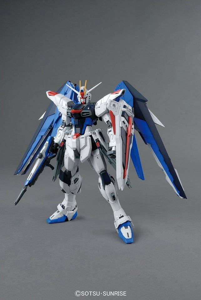 MG Freedom Gundam Ver. 2.0 1/100 — Panda Hobby