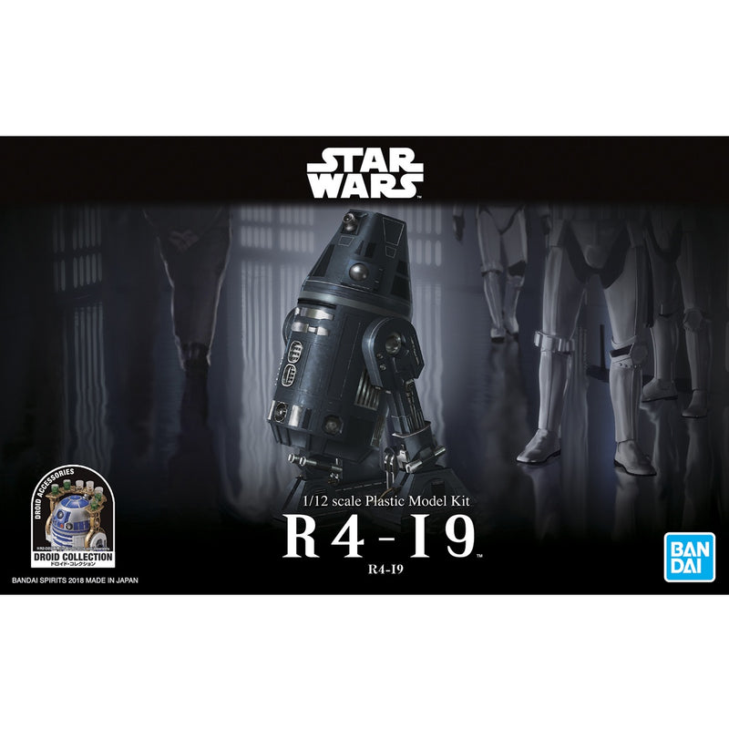 SW - R4-I9 1/12