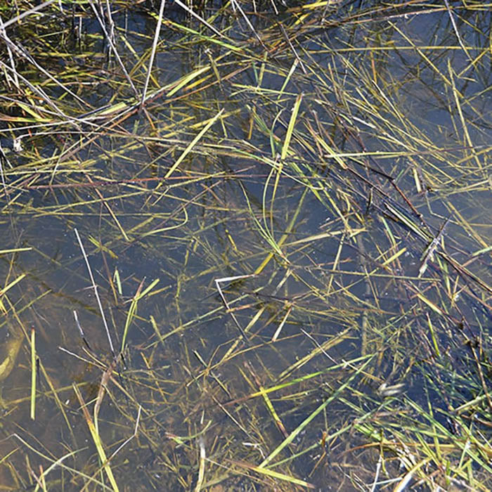 AK8008 Still Water 250ml