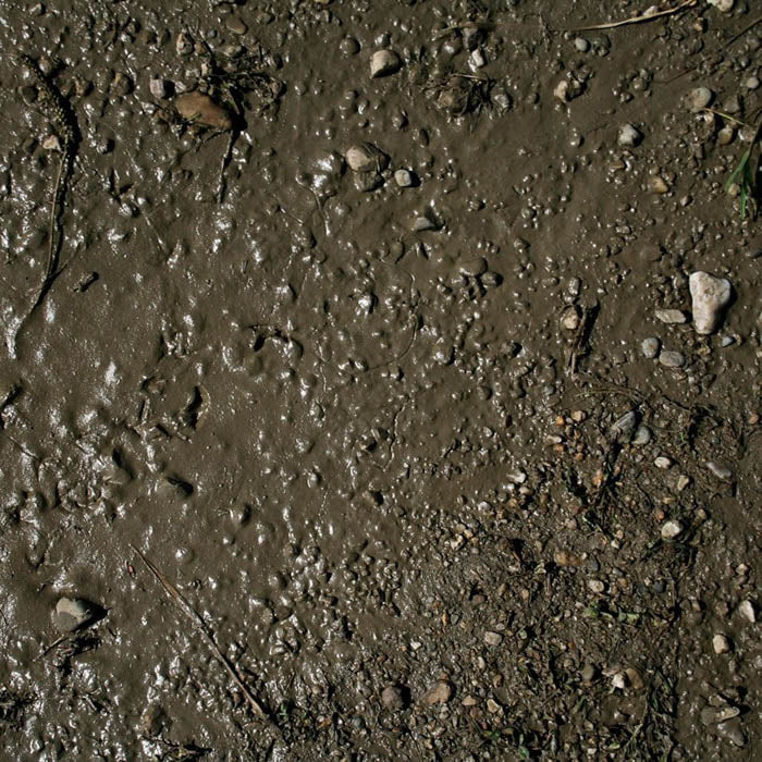 AK8016 Terrains Wet Ground 250ml
