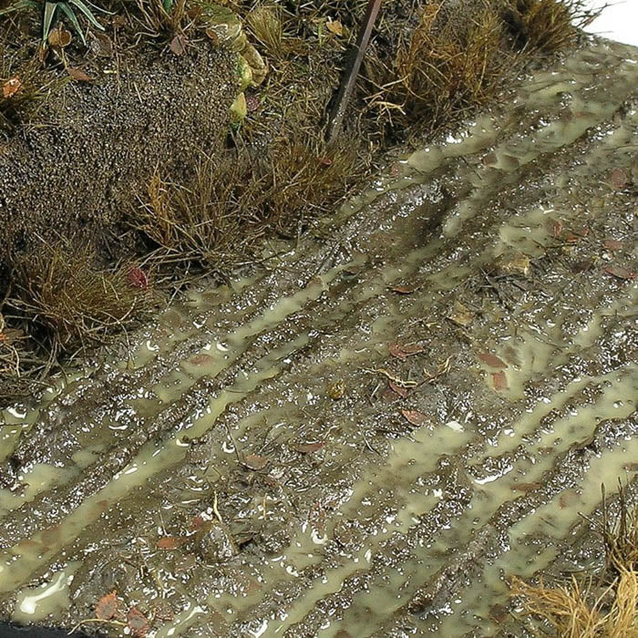 AK8016 Terrains Wet Ground 250ml