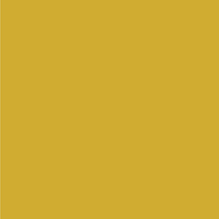Acrysion BN04 - Base Color Base Yellow