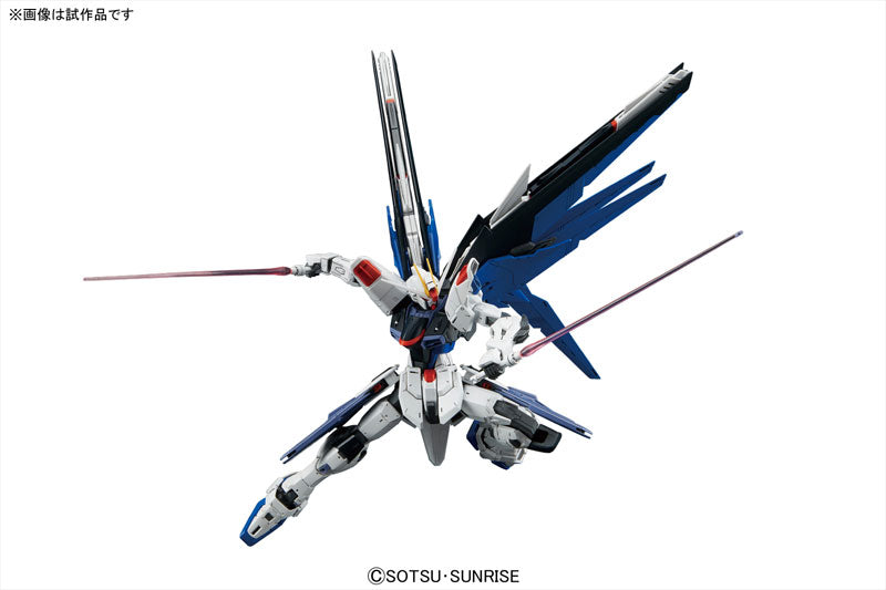 MG Freedom Gundam Ver. 2.0 1/100 — Panda Hobby