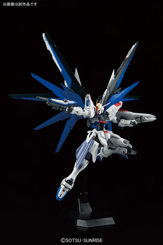 MG Freedom Gundam Ver. 2.0 1/100 — Panda Hobby