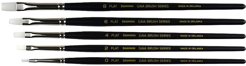 BFS01 Flat Brush Set (5pcs)