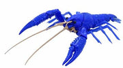 Biology Edition Crayfish (Blue) 1/24