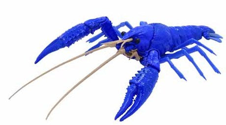 Biology Edition Crayfish (Blue) 1/24