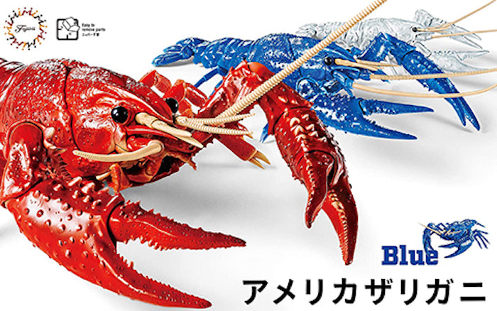 Biology Edition Crayfish (Blue) 1/24