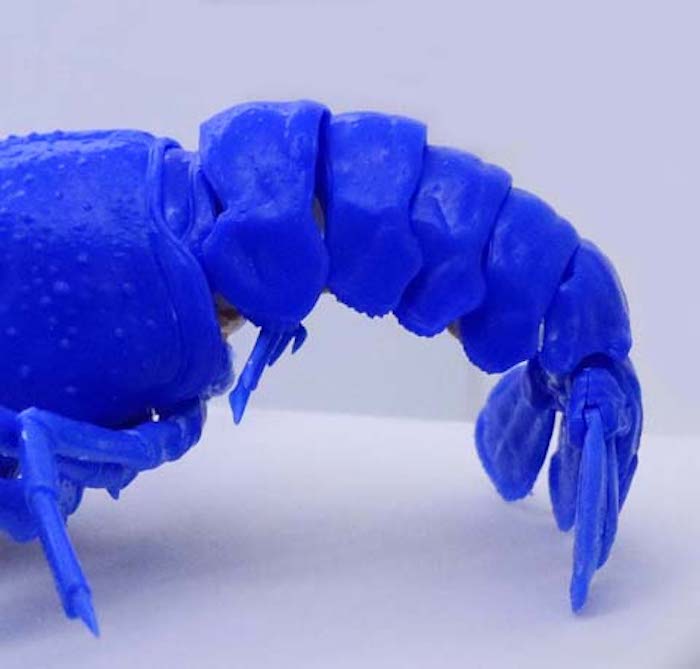 Biology Edition Crayfish (Blue) 1/24