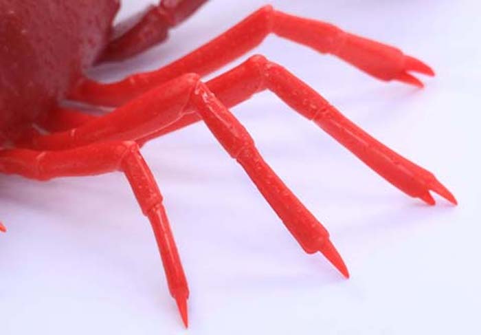 Biology Edition Crayfish (Red)