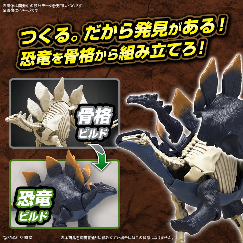 Dinosaur Plastic Model Kit Plannosaurus Stegosaurus