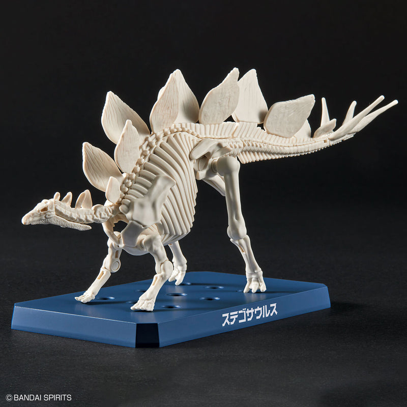 Dinosaur Plastic Model Kit Plannosaurus Stegosaurus