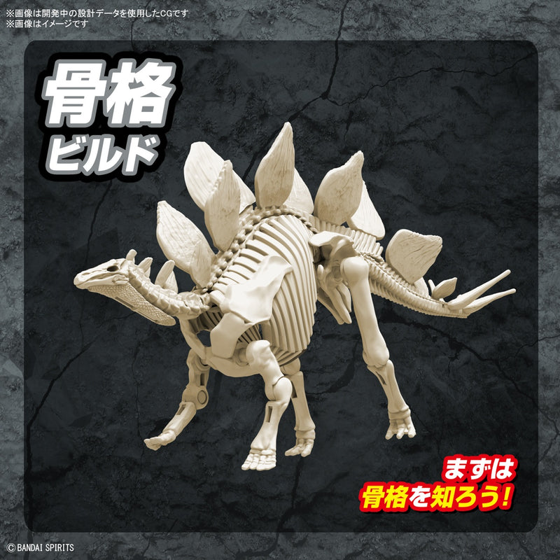 Dinosaur Plastic Model Kit Plannosaurus Stegosaurus