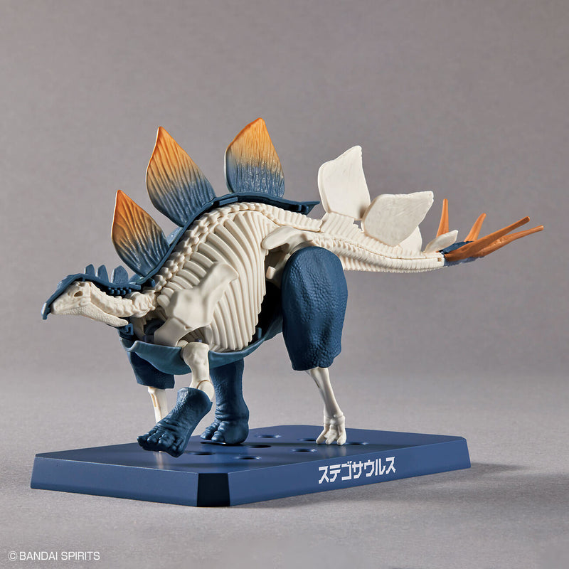 Dinosaur Plastic Model Kit Plannosaurus Stegosaurus
