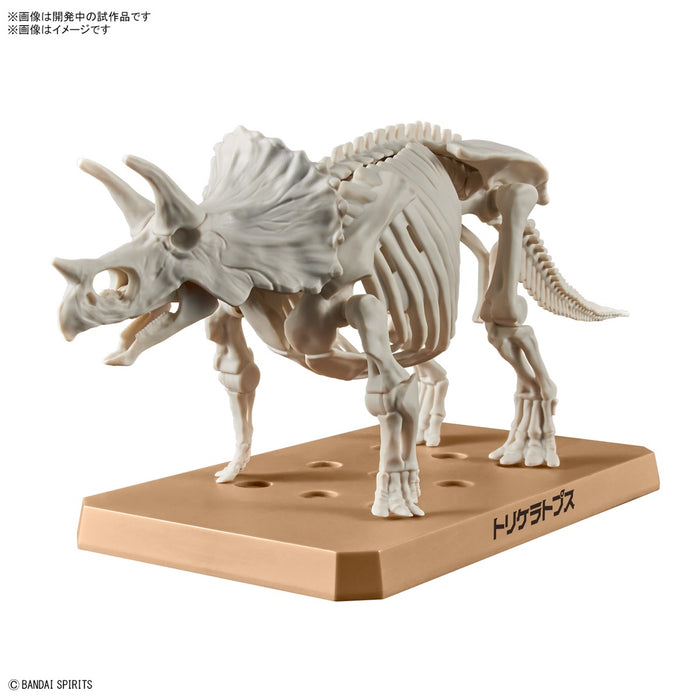 Dinosaur Plastic Model Kit Plannosaurus Triceratops