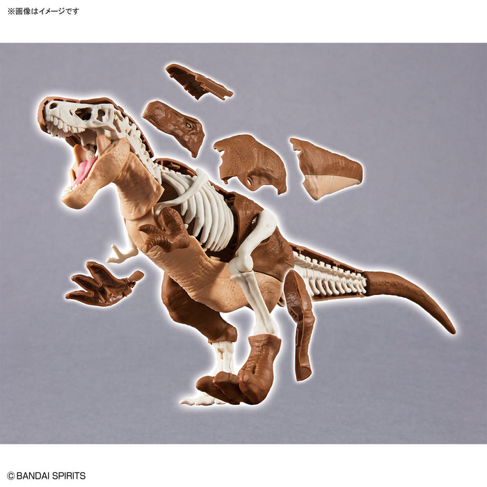 Dinosaur Plastic Model Kit Plannosaurus Tyrannosaurus