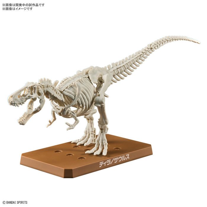 Dinosaur Plastic Model Kit Plannosaurus Tyrannosaurus