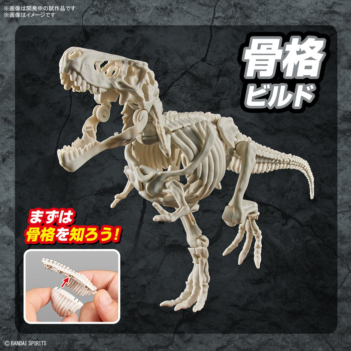 Dinosaur Plastic Model Kit Plannosaurus Tyrannosaurus