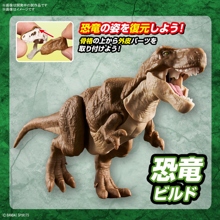 Dinosaur Plastic Model Kit Plannosaurus Tyrannosaurus