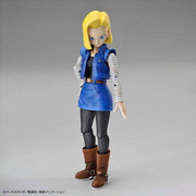 FR - Android #18