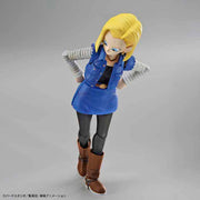 FR - Android #18