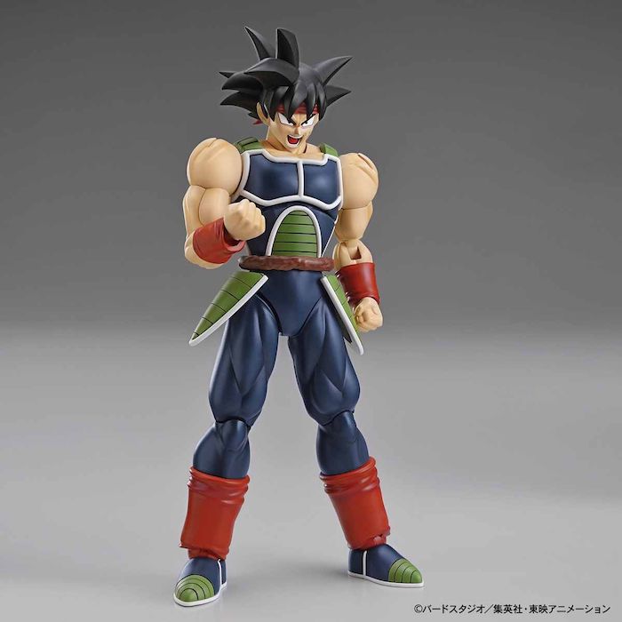 FR - Bardock