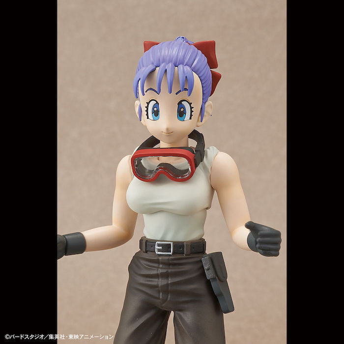 FR - Bulma's Variable No.19 Motorcycle
