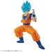 FR - Entry Grade Super Saiyan God Super Saiyan Goku