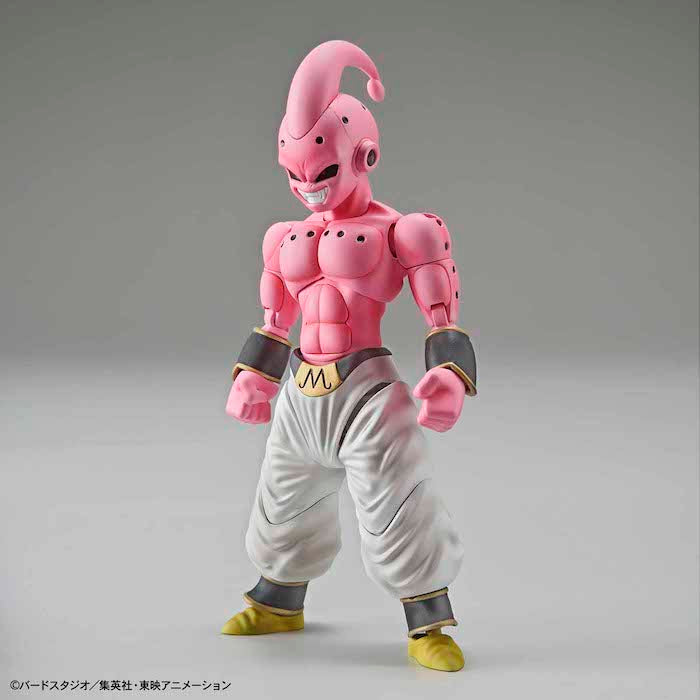 FR - Kid Buu