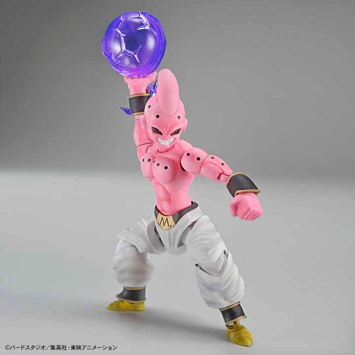 FR - Kid Buu