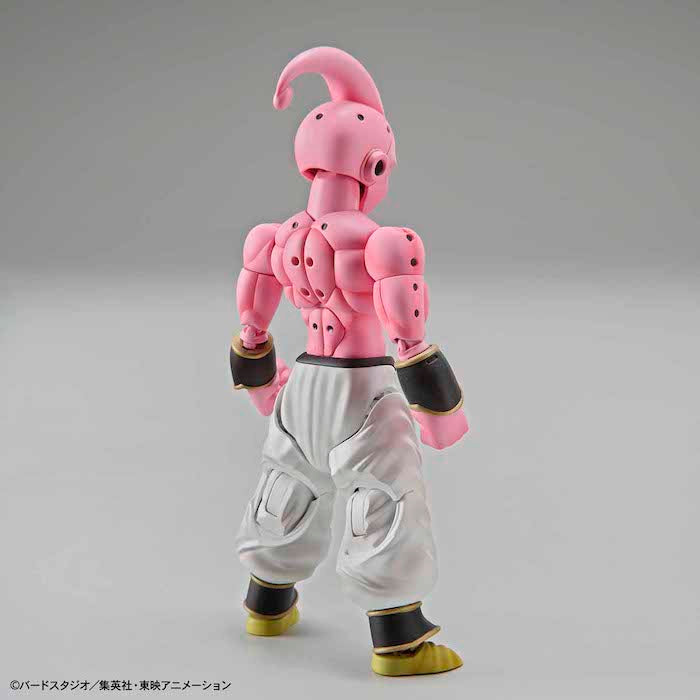 FR - Kid Buu