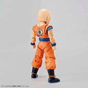 FR - Krillin